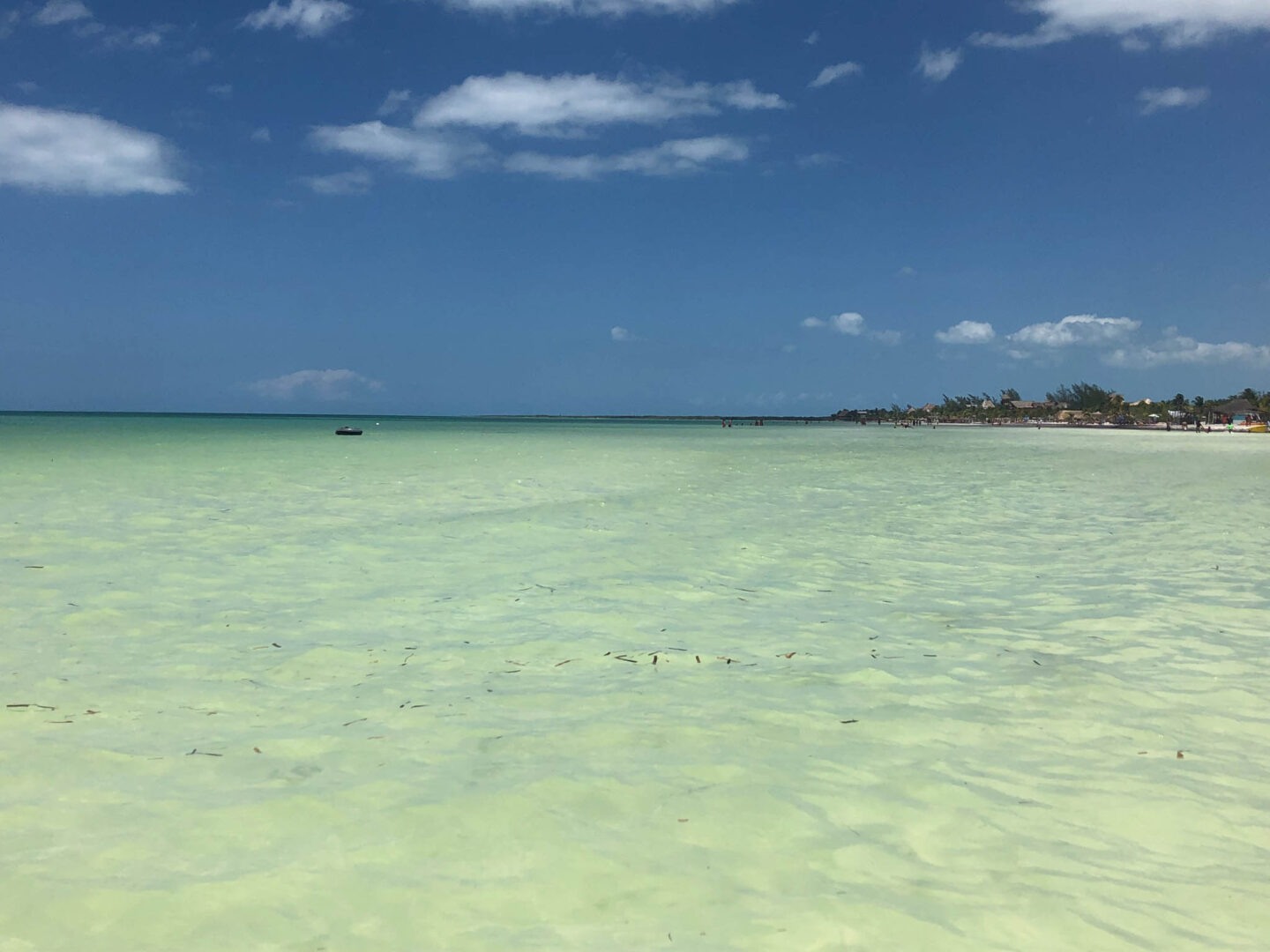 Holbox Mexico green sea