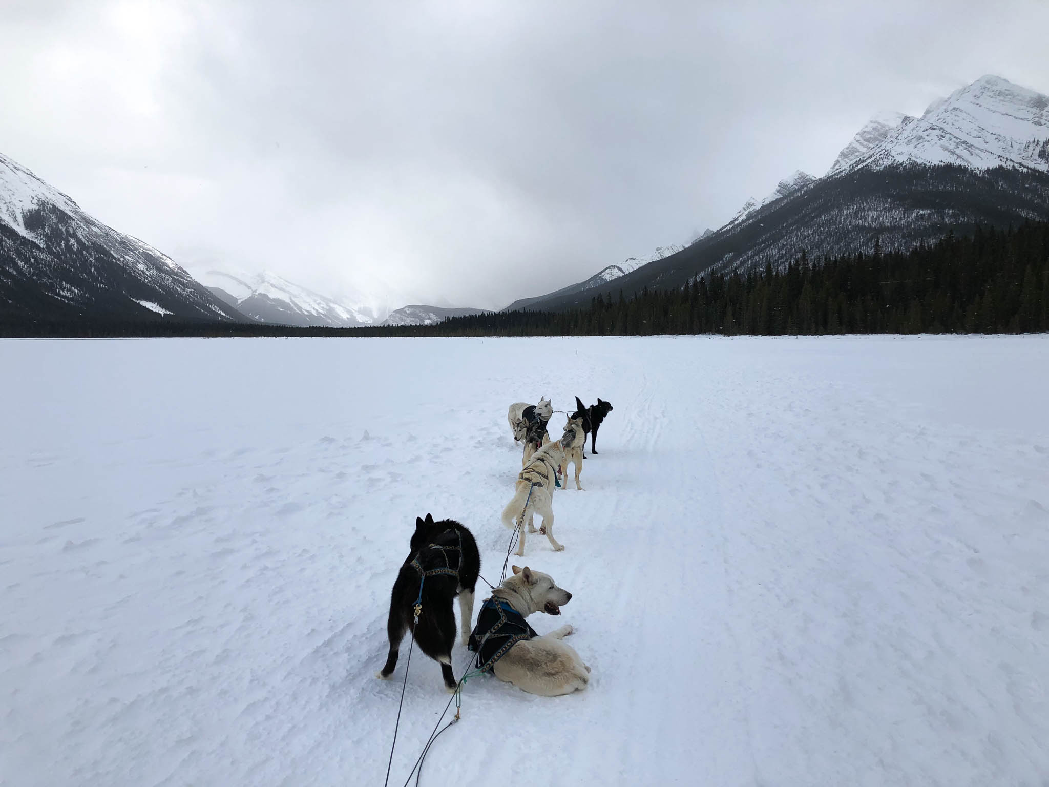 An unforgettable winter's day in Lake Louise, Canada