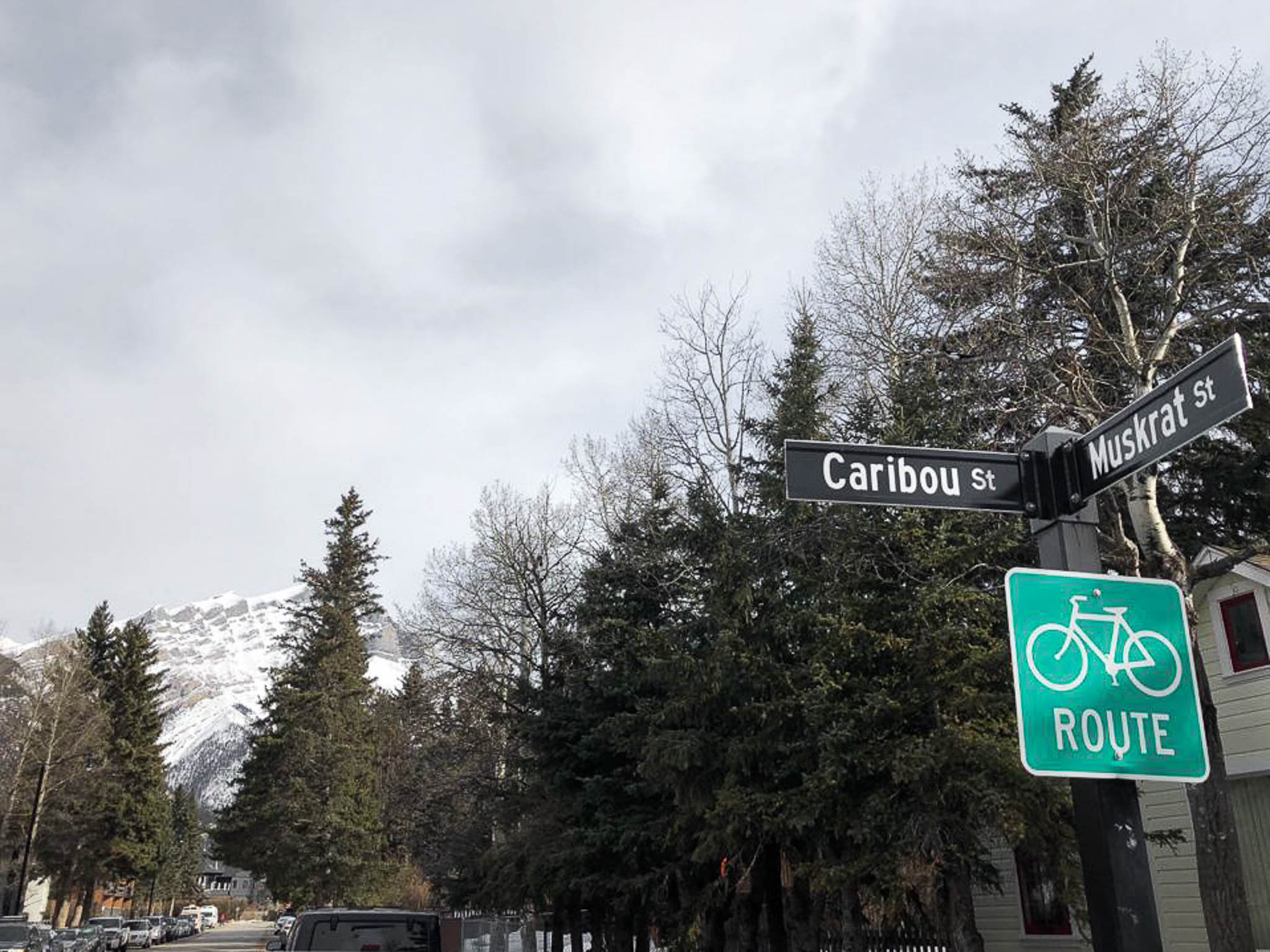 Best Things To Do In The Town Of Banff Canada APOPLOUS   Banff Town Architecture Street Signs 