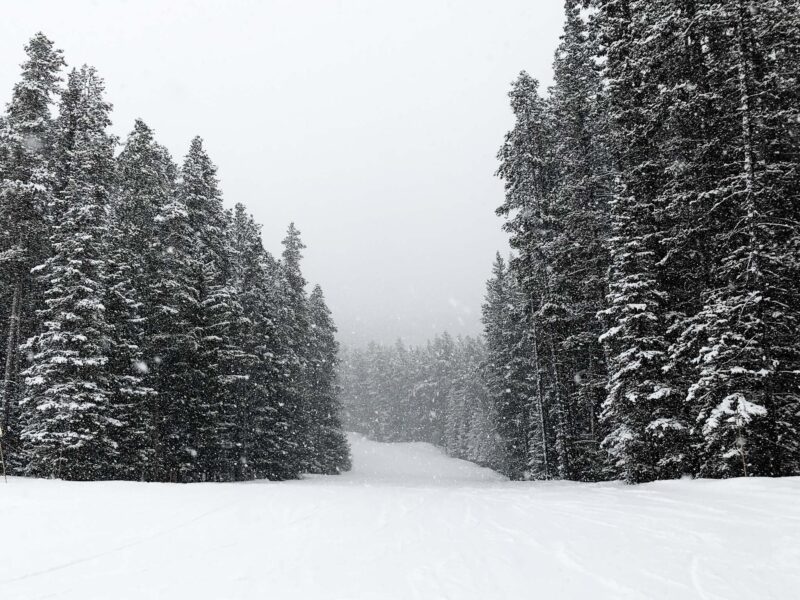 Skiing the Canadian Rockies: Sunshine & Lake Louise VS the Alps